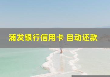 浦发银行信用卡 自动还款